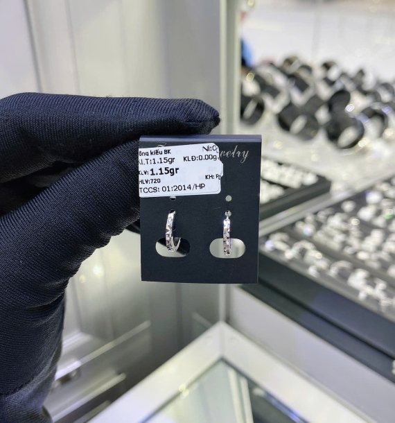 Bông Tai Bạch Kim VT750 VT1