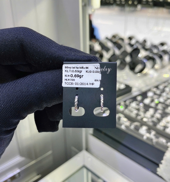 Bông Tai Bạch Kim VT750 VT10