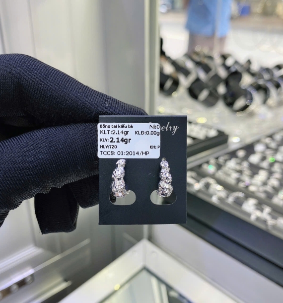 Bông Tai Bạch Kim VT750 VT16