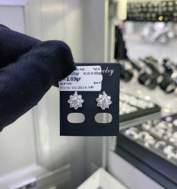 Bông Tai Bạch Kim VT750 VT28