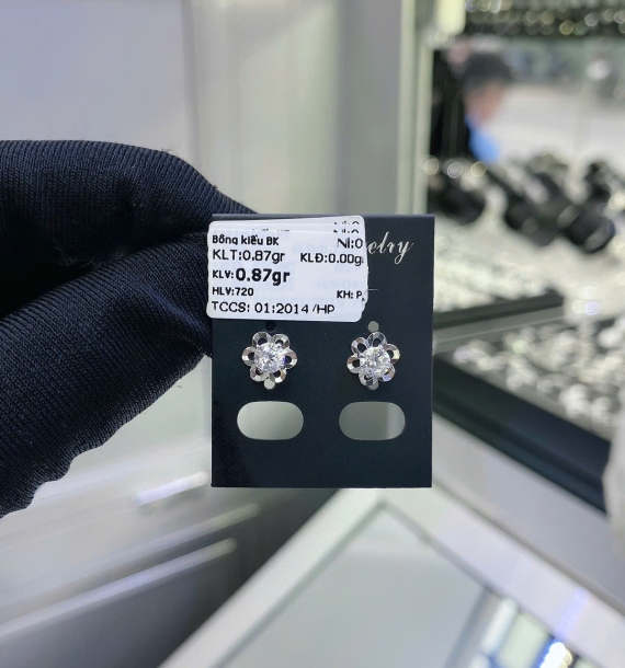 Bông Tai Bạch Kim VT750 VT43