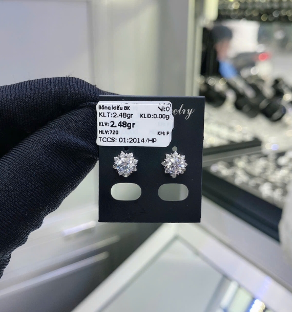 Bông Tai Bạch Kim VT750 VT45