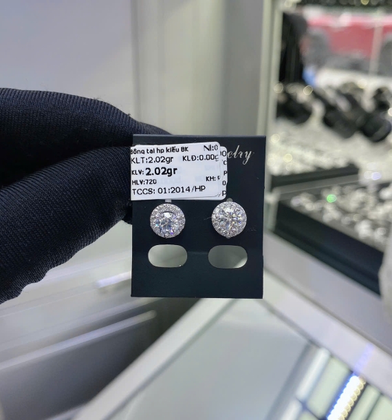 Bông Tai Bạch Kim VT750 VT59