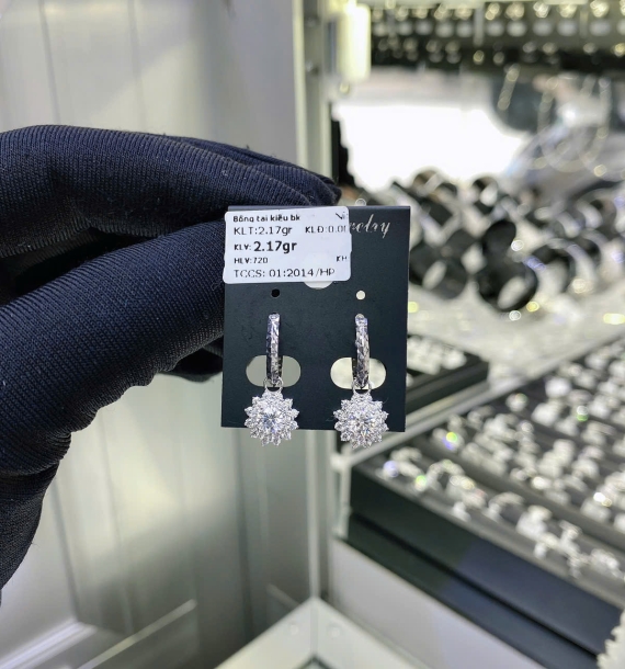 Bông Tai Bạch Kim VT750 VT71