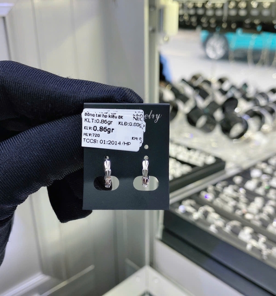 Bông Tai Bạch Kim VT750 VT8