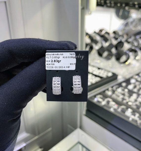 Bông Tai Bạch Kim VT750 VT83