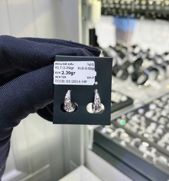 Bông Tai Bạch Kim VT750 VT9